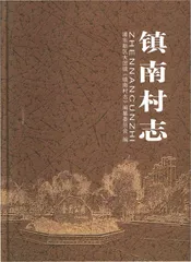 镇南村志