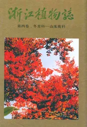 浙江植物志 第四卷 冬青科—山茱萸科