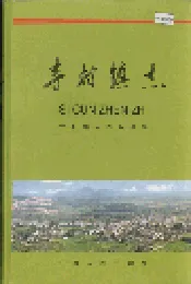 寺村镇志