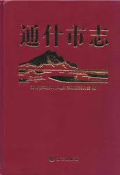 通什市志