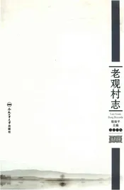老观村志