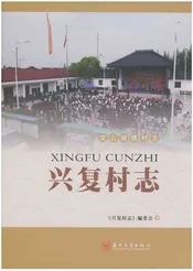 兴复村志