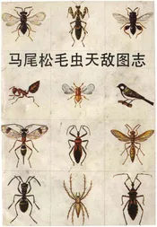 马尾松毛虫天敌图志