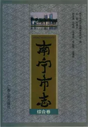 南宁市志综合卷