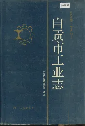 自贡市工业志