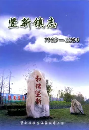 竖新镇志(1985-2004)