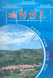 冯村村志