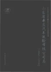 山东省枣庄汽车运输有限公司志