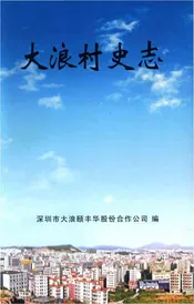 大浪村史志