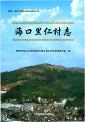 海口里仁村志