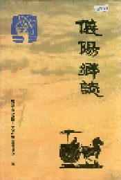 仪阳乡志