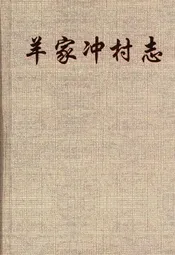 羊家冲村志