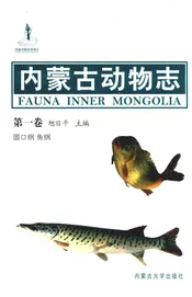 内蒙古动物志(第一卷)