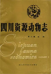 四川资源动物志  第三卷 鸟类
