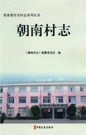 朝南村志