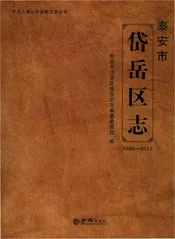 泰安市岱岳区志1985-2013