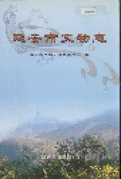 延安市文物志