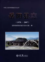 岳阳县志1978-2007
