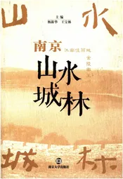 南京山水城林