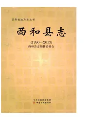 西和县志