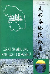 大兴安岭民政志
