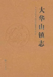 大华山镇志