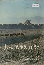 嘉峪关市文物志