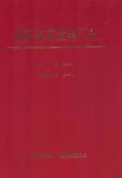 山东辛店发电厂志