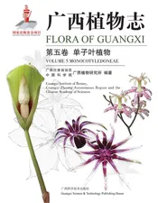 广西植物志（第五卷）——单子叶植物