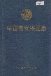 中国宝安集团志