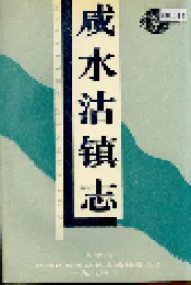 咸水沽镇志