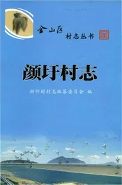 颜圩村志