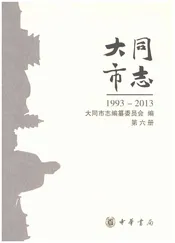 大同市志1993-2013第六册