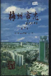 梅州市志（中）