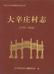 大辛庄村志