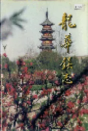 龙华镇志