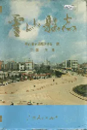 灵山县志
