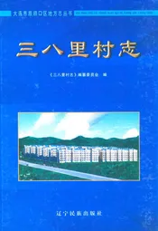 三八里村志