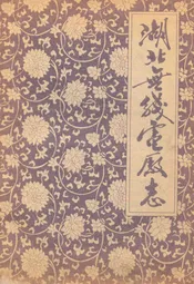 湖北无线电厂志