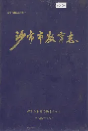 沙市市教育志