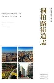 桐柏路街道志