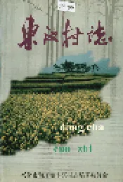 东汊村志