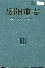 岳阳市志10
