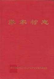 张家村志