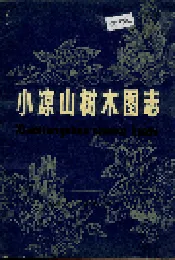 小凉山树木图志