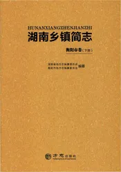 湖南乡镇简志·衡阳市卷（下）