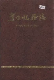 宁明税务志