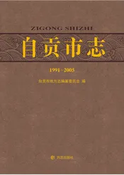 自贡市志（1991-2005）