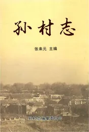 孙村志（山西省忻州市忻府区）