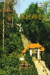 东兰县民政志